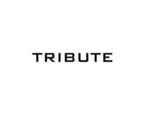 Tribute Towbars